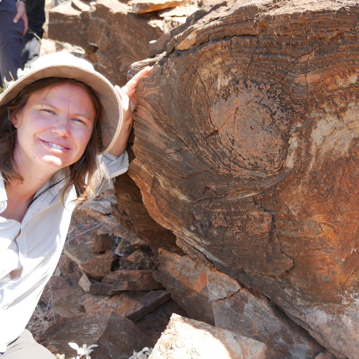 Human Spaceflight tweet media