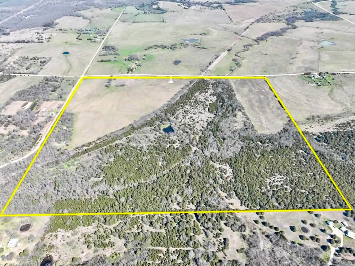SundgrenRealty's tweet photo. 🚨 A HUNTER'S PARADISE 🚨
133+- acres in Woodson Co., KS w/ big bucks, turkeys, & morels 🌳🦌. Thick timber, stocked pond, & utilities ready for your dream cabin. 🏕️
📸 Game cam pics will blow you away
🔗 https://t.co/l3vnrkrVFw
DM for details! 👇
#LandForSale #KansasHunting https://t.co/wbpFeZrEk0