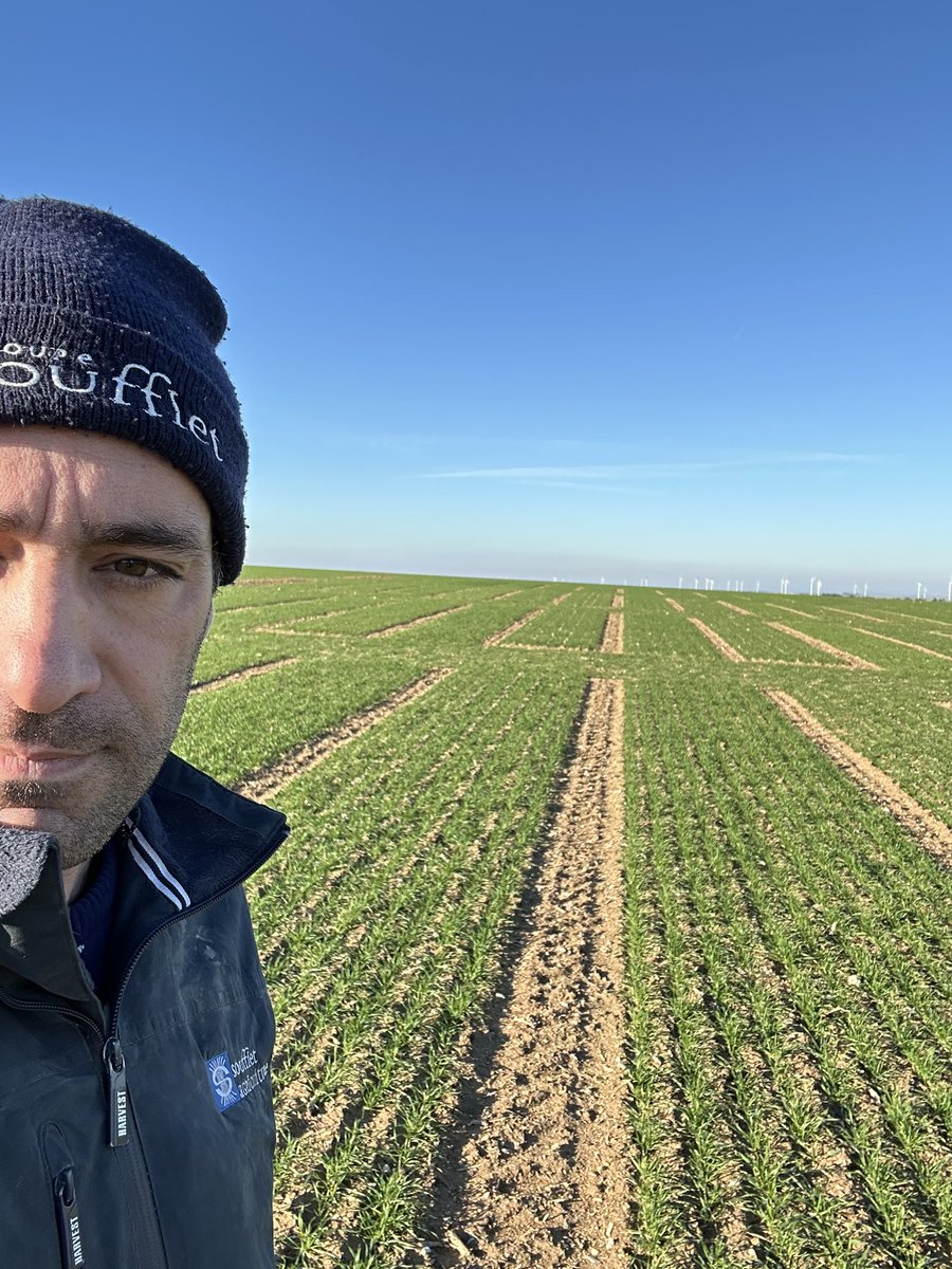 BONNIN1402's tweet image. Niveau blé 🌾 : voici mes 2 #MélangesVariétaux pour vos futurs semis :
#MSPRO pour productif +++
#MMS pour Mélange Moulins Soufflet 🥖 
@Soufflet_Agri 
16/18