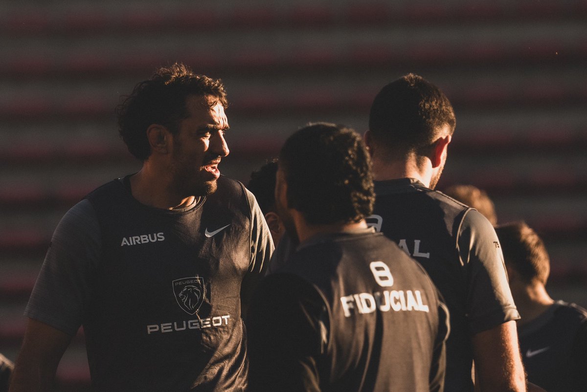 Stade Toulousain tweet media