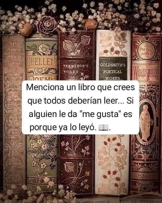 Menciona un libro que crees que todos deberían leer...  

Si alguien le da "Me gusta" es porque ya lo leyó.

O puedes responderle un libro similar para que pueda leer algo parecido.