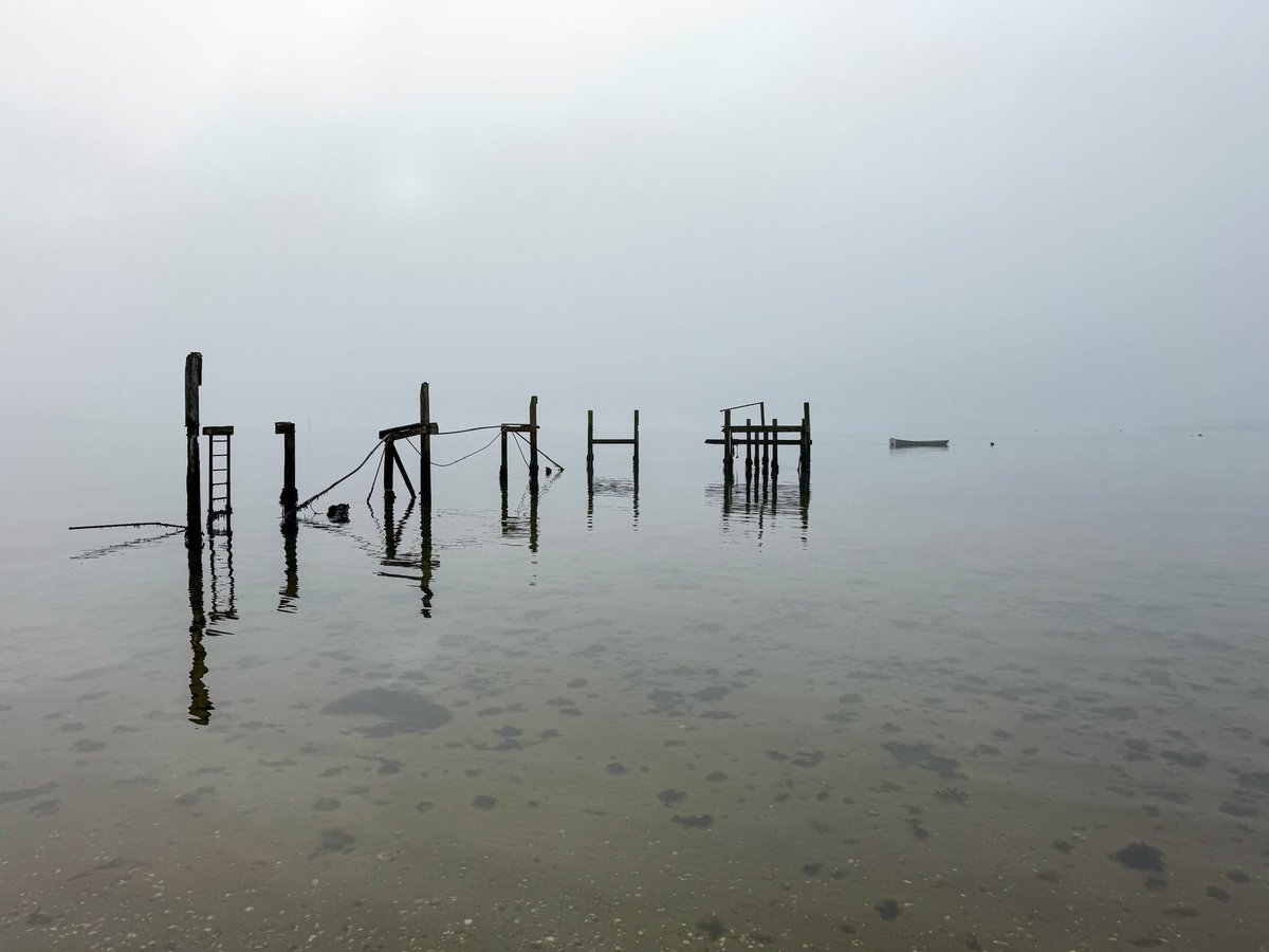 LesleyCashell's tweet image. Mist in Poole Harbour @BBCSouthWeather @StormHour @ThePhotoHour @Dorset_NL @DorsetMag @GreenDorset @dorsetlandscape @goDorset @lovefordorset @visit_dorset @lovepooleuk @PoolePost @PooleHarbourC