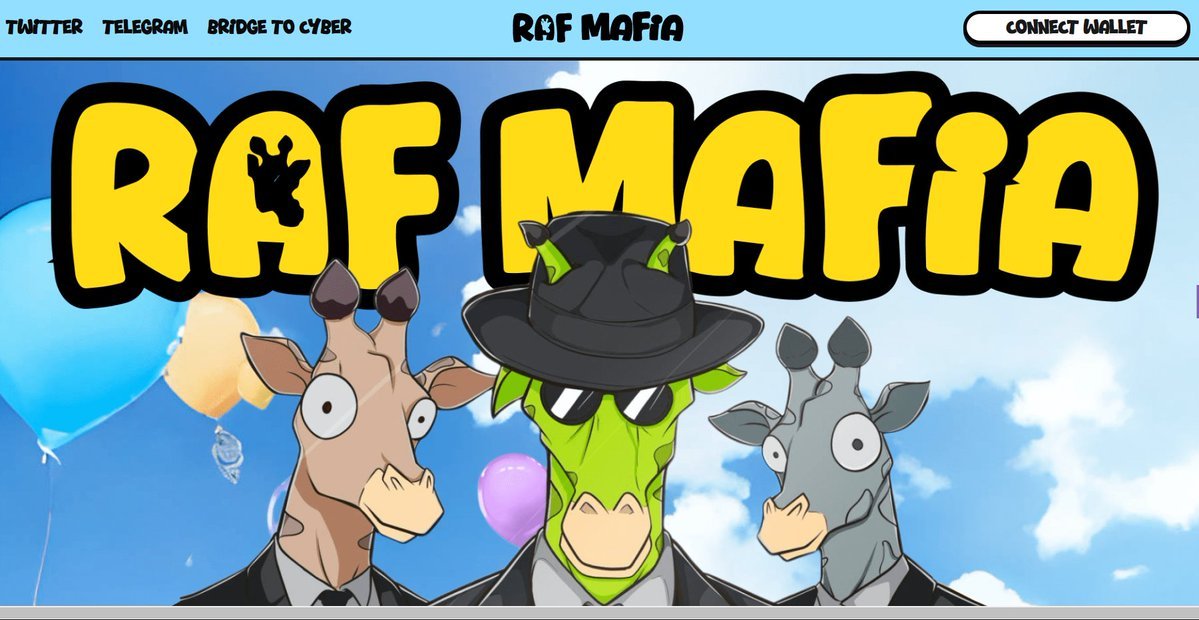 Surf Türkiye tweet media