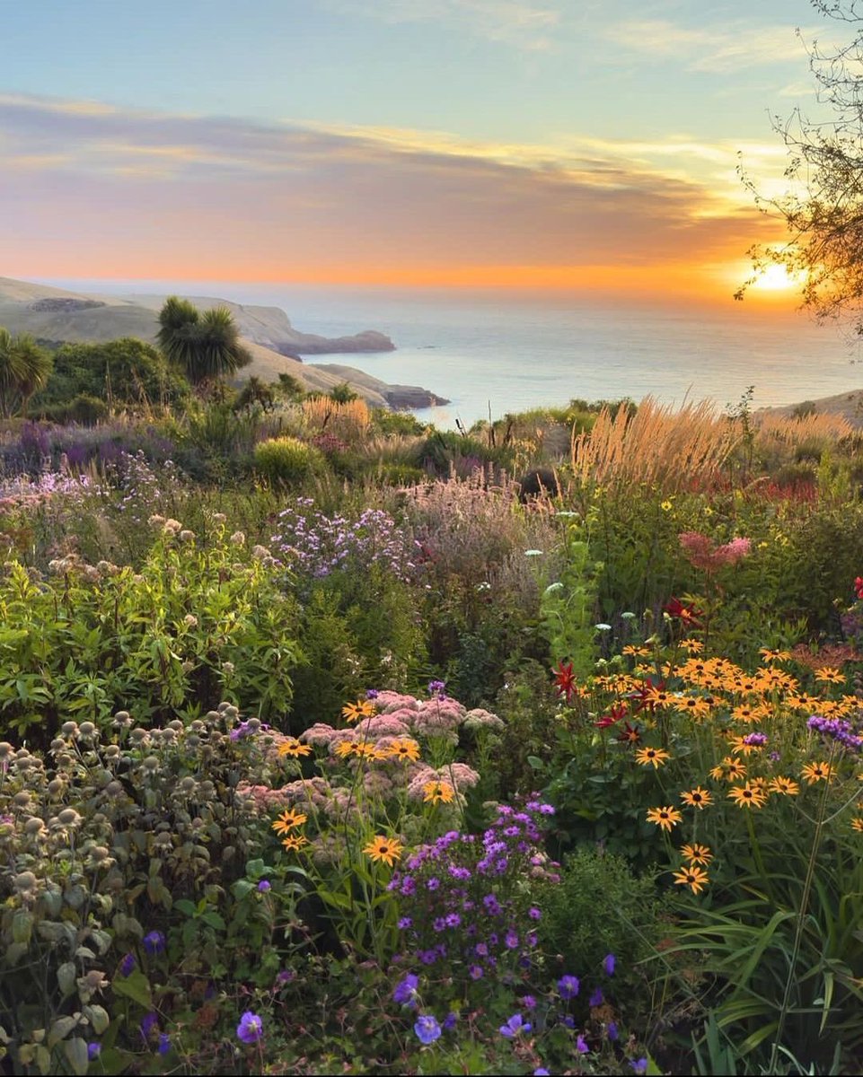 ᅠ ᅠ (@greendreaams) on Twitter photo 