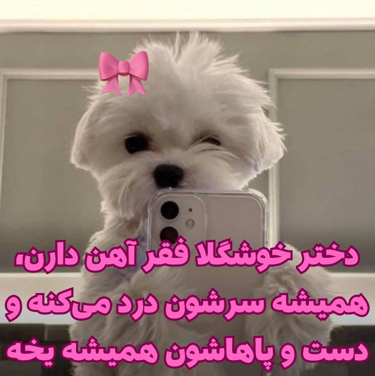 𝑀𝑎𝑡𝑖𝑛 (@callmattt) on Twitter photo 