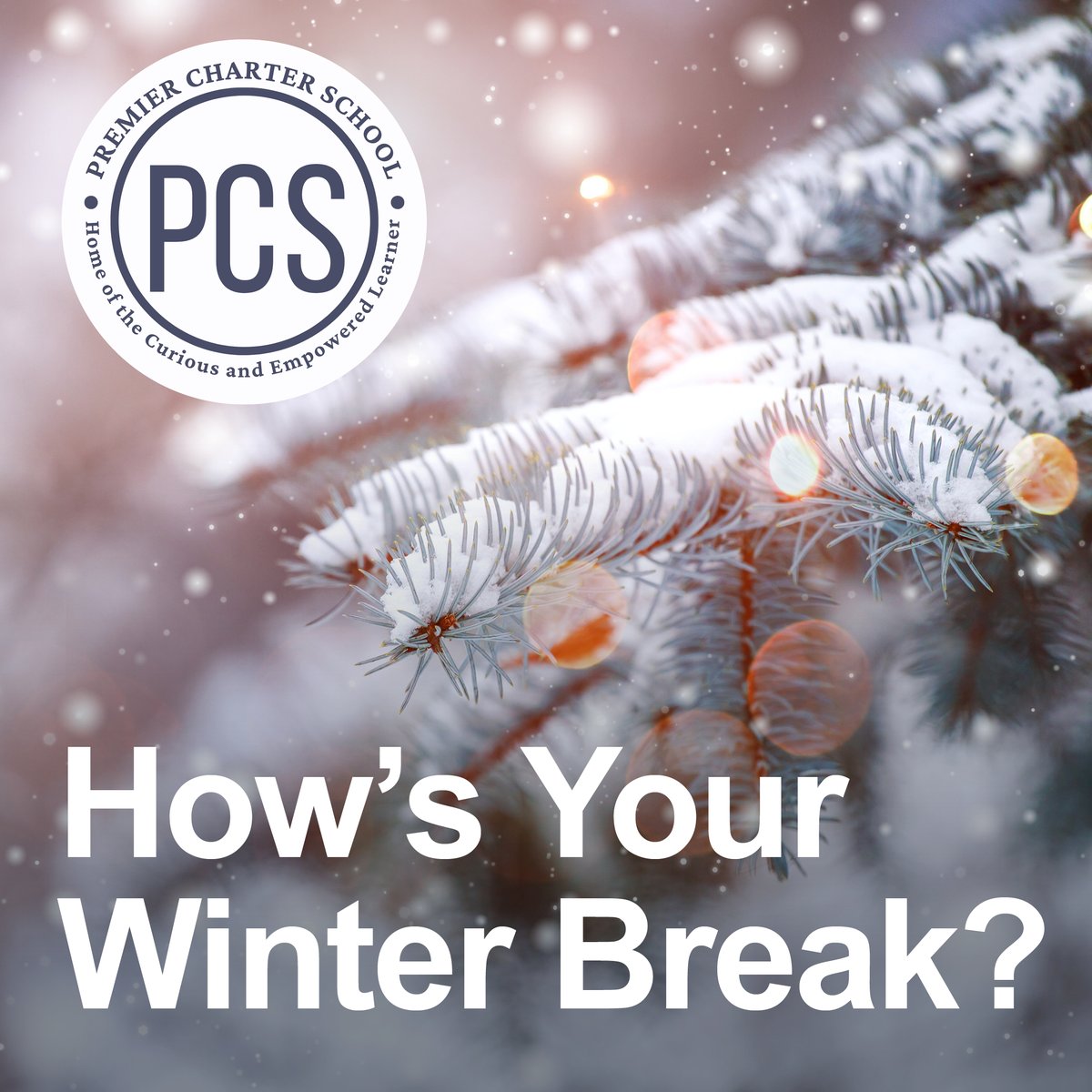 What have you been up to this winter break? ❄️ Let us know in the comments how you've been spending winter break, or any fun plans you have for next week!