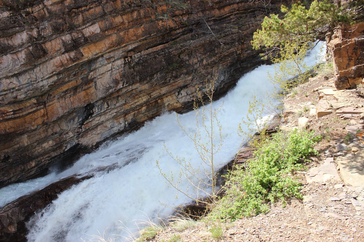 HigherEDeu's tweet image. #PauseForThought