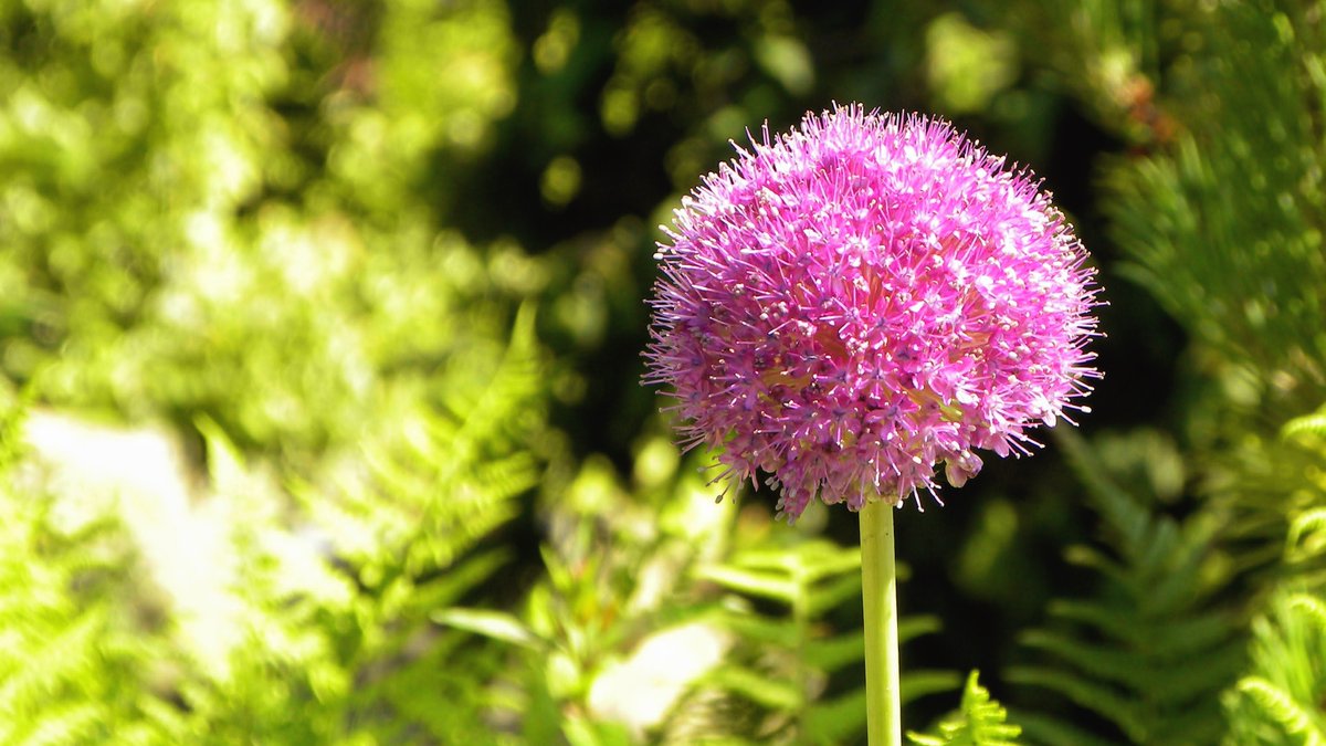 HigherEDeu's tweet image. #PauseForThought