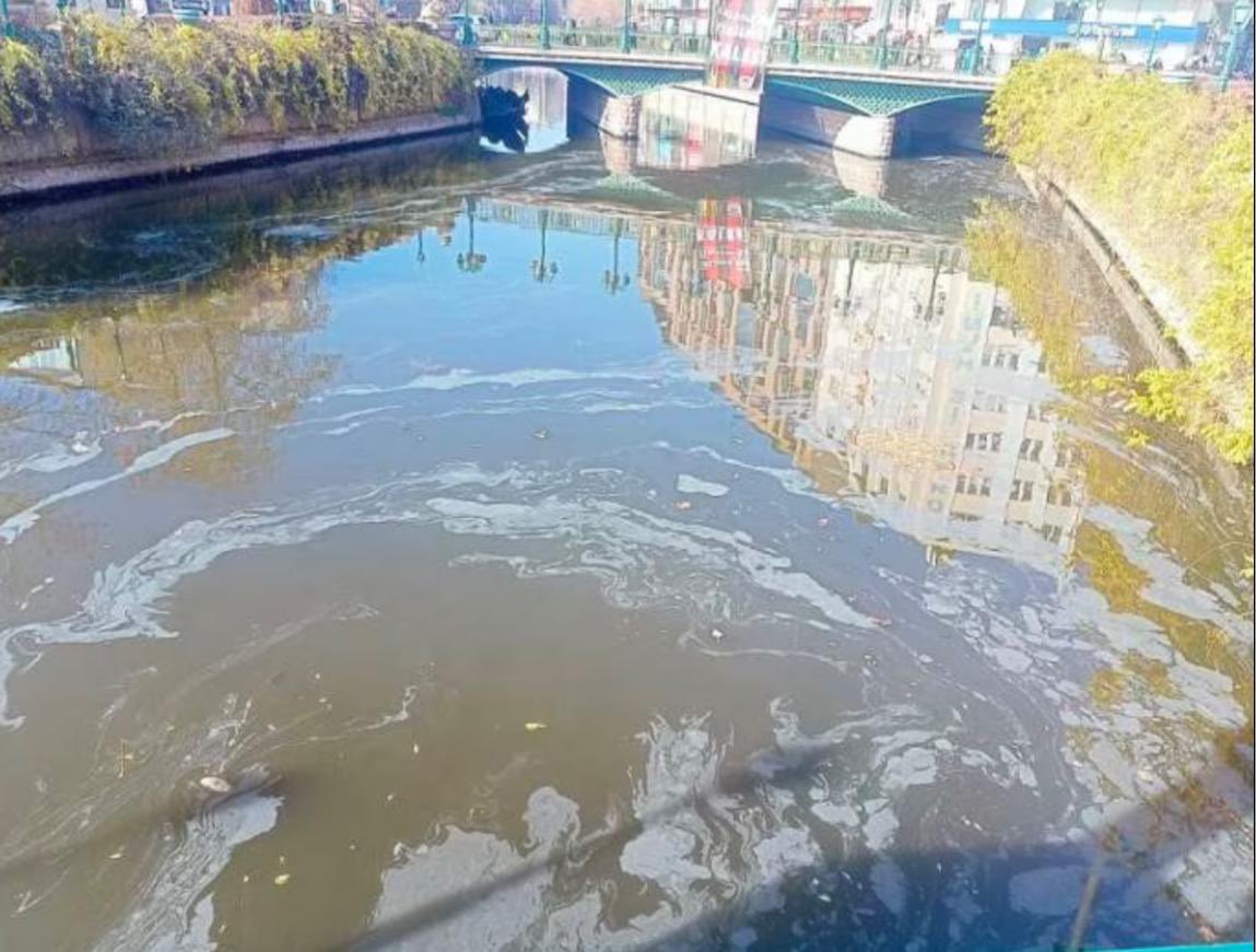Eskişehir Büyükşehir Belediye Başkanı bugün, Yakacık Köyü'nde yapılacak altın-gümüş madenine mahkemeden yürütmeyi durdurma aldıklarını açıkladı. Porsuk Çayı'mızı korumuşlar kendileri.
Öncelikle şunu söyleyeyim; ÇED raporu olmadan maden ruhsatı verilmesine bende karşıyım. Doğada