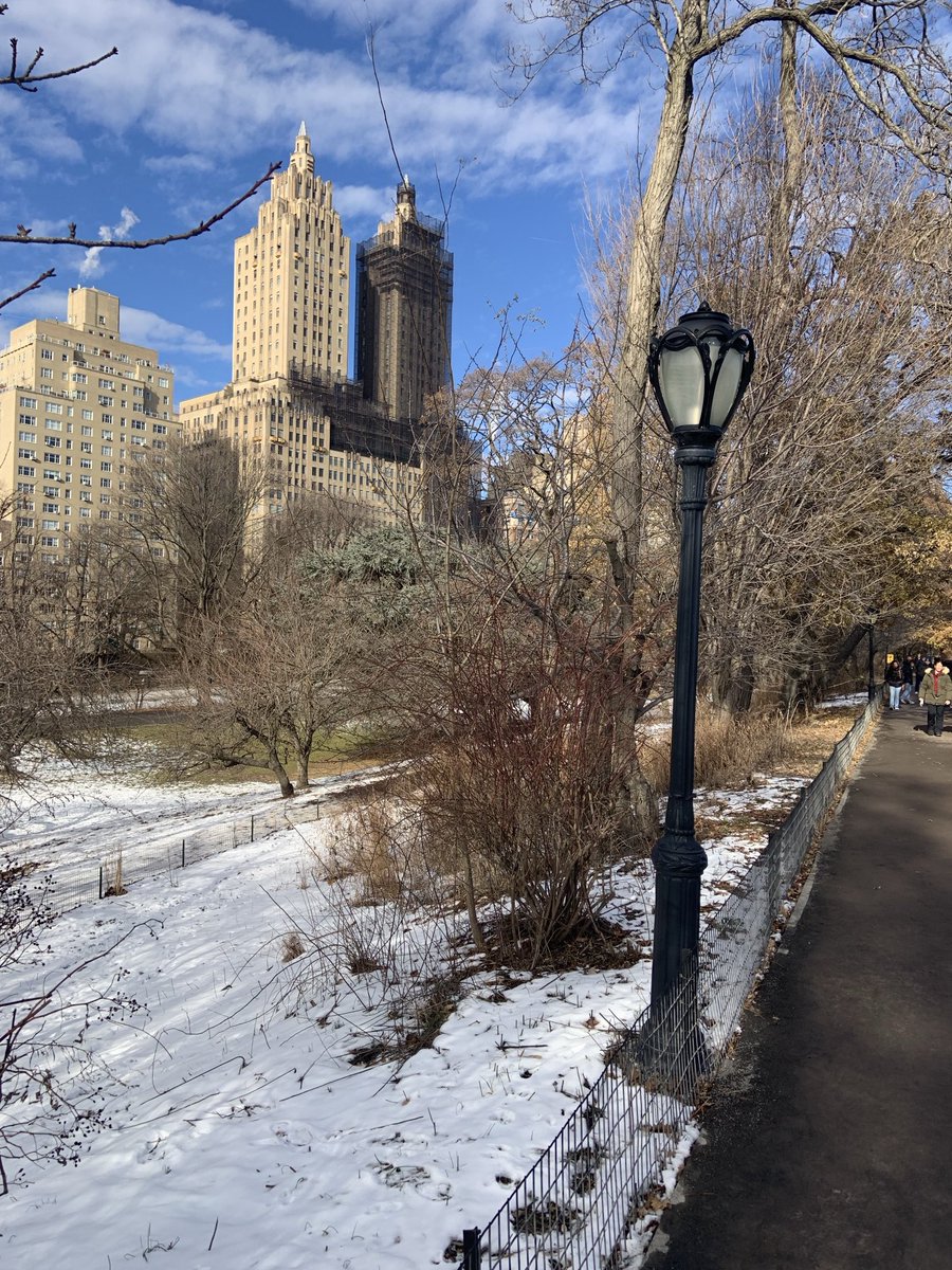 Winter run in Central Park