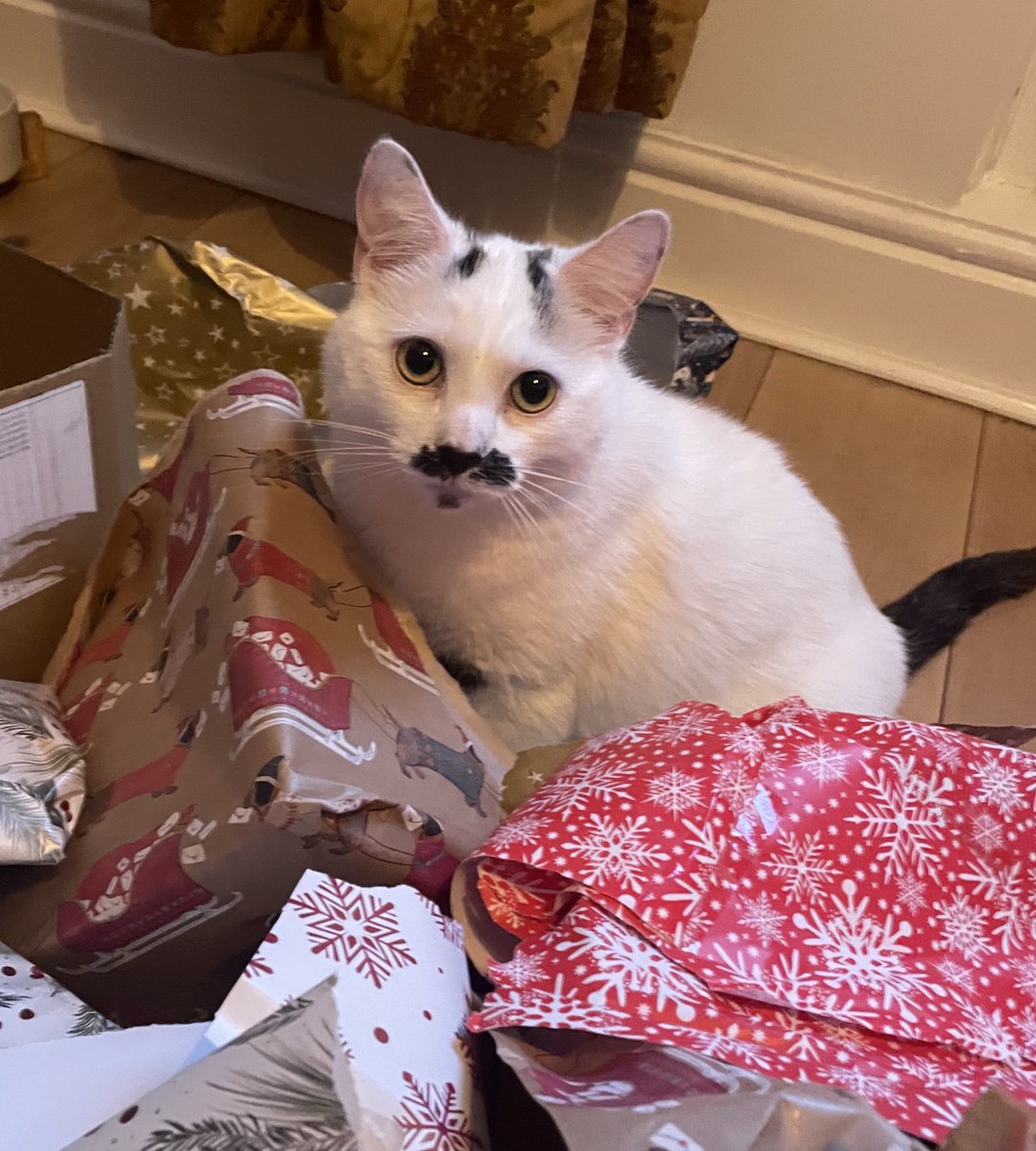 Laura Elliott tweet media