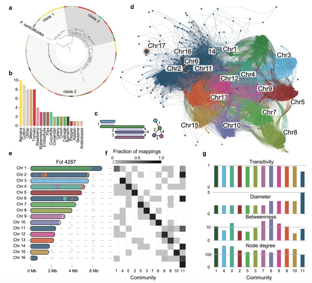 @riccardobaroncelli.bsky.social (@r_baroncelli) on Twitter photo Fascinating insights into #Fusarium oxysporum! A new study by <a href="/MFSeidl/">Michael F Seidl</a> and colleagues leverages reference-free pangenome variation to uncover the #evolution of accessory chromosomes highlighting their role in host specificity & horizontal transfer.
biorxiv.org/content/10.110… Fascinating insights into #Fusarium oxysporum! A new study by <a href="/MFSeidl/">Michael F Seidl</a> and colleagues leverages reference-free pangenome variation to uncover the #evolution of accessory chromosomes highlighting their role in host specificity & horizontal transfer.
biorxiv.org/content/10.110…