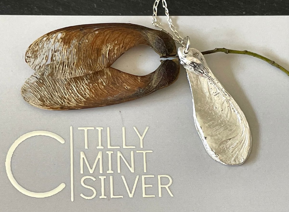 Tilly Mint Silver tweet media