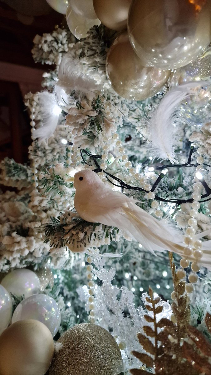 Show me your favourite ornament on #Christmas tree? 

#MerryChristmas #holiday