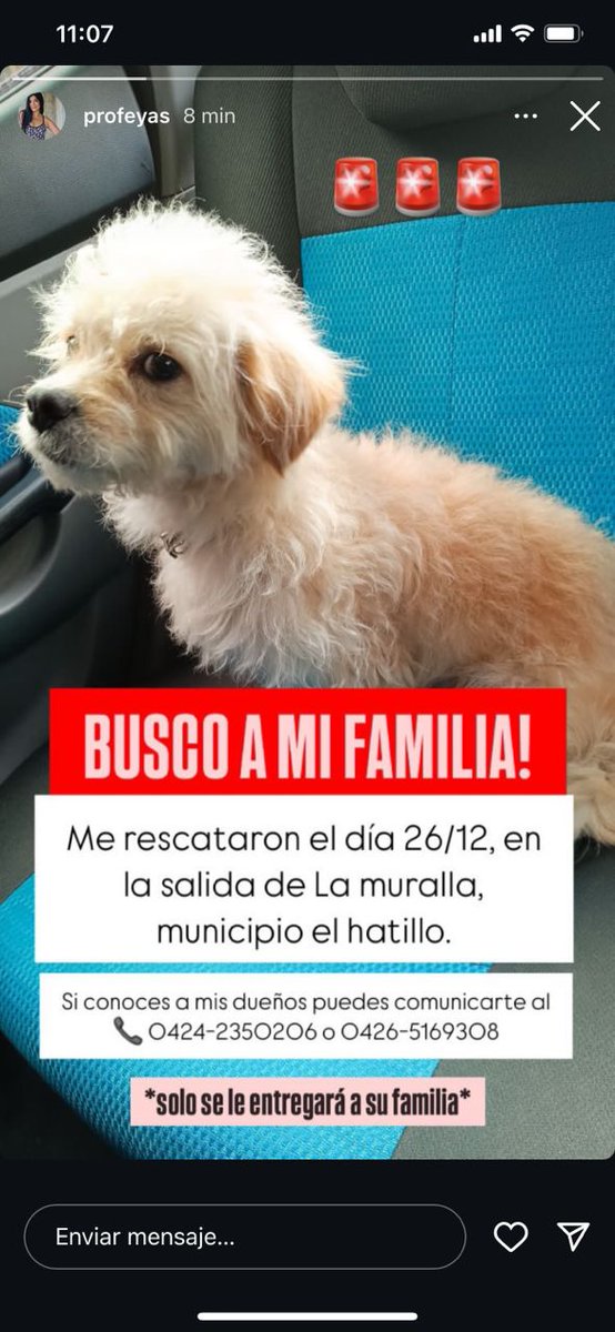 Magdalena Noda (@magdanoda) on Twitter photo 