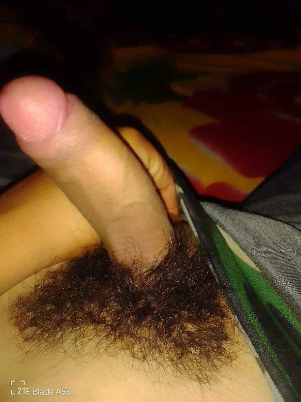 el tijuano tweet media