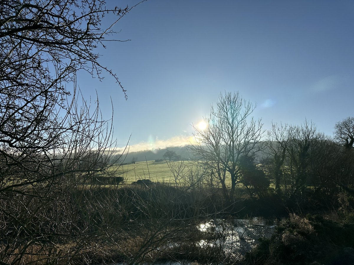 Victoria Hall FCCT MEd NPQH tweet media