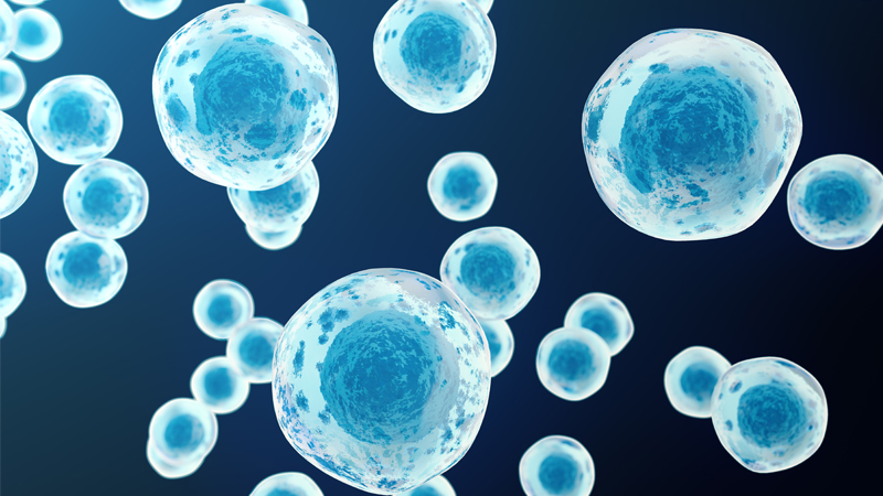 Magnesium tweet media