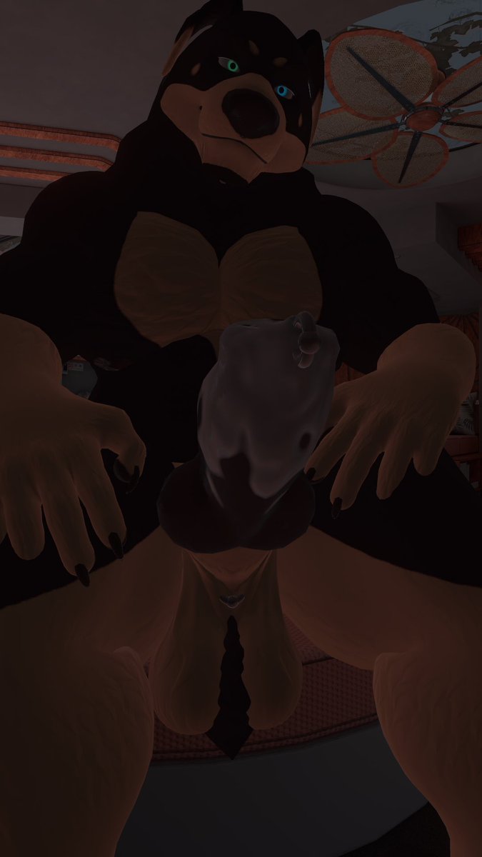 Before and after he fills you full of his pups.