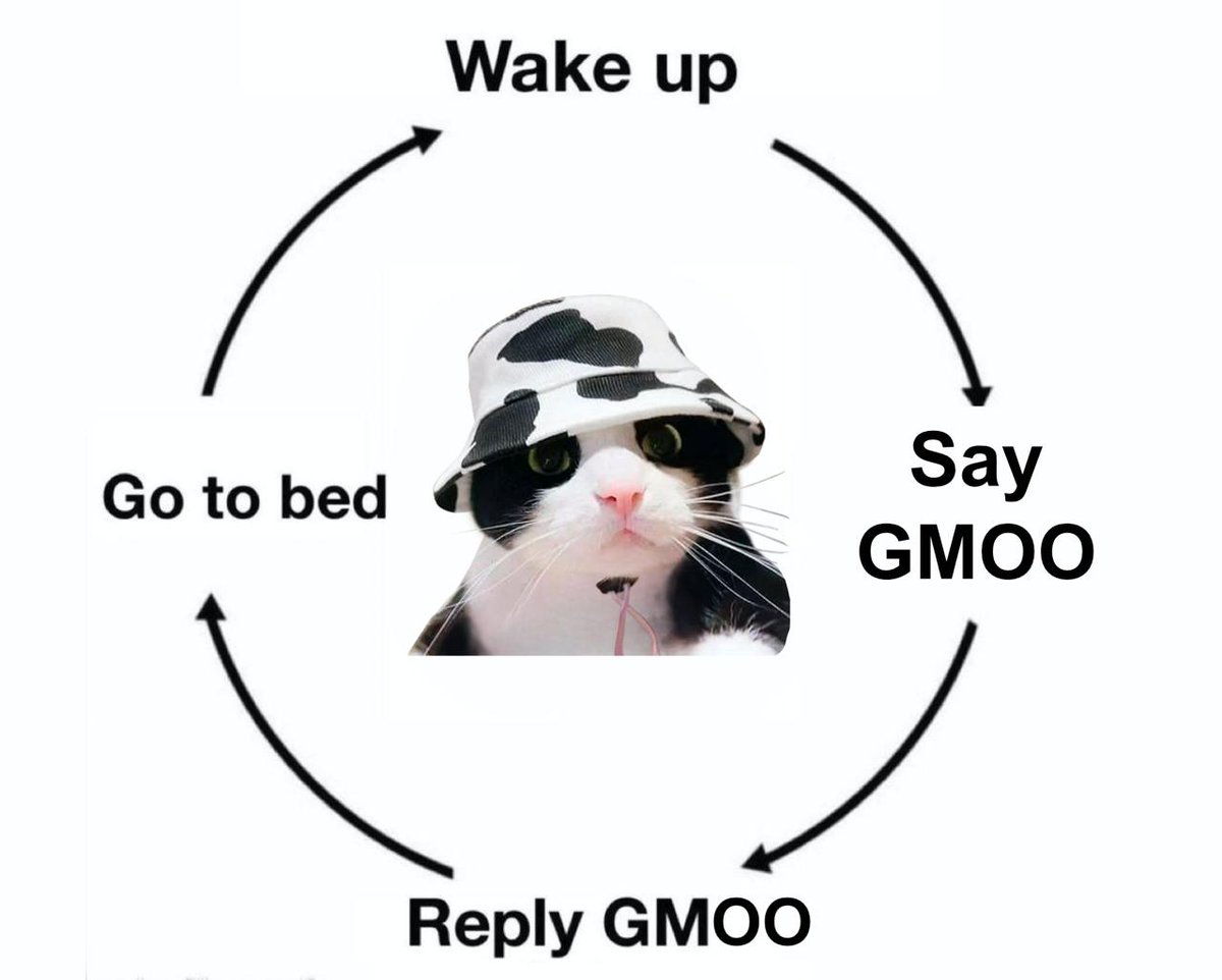 GMOO!