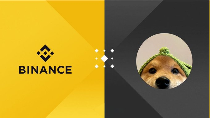 BitGeorge_'s tweet photo. Like and RT if you want #Binance  to list $LOU 🚀🔥 https://t.co/7GmdMxC07d