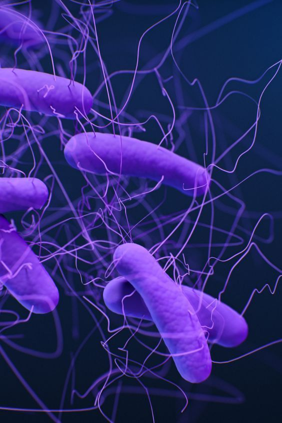 Magnesium tweet media