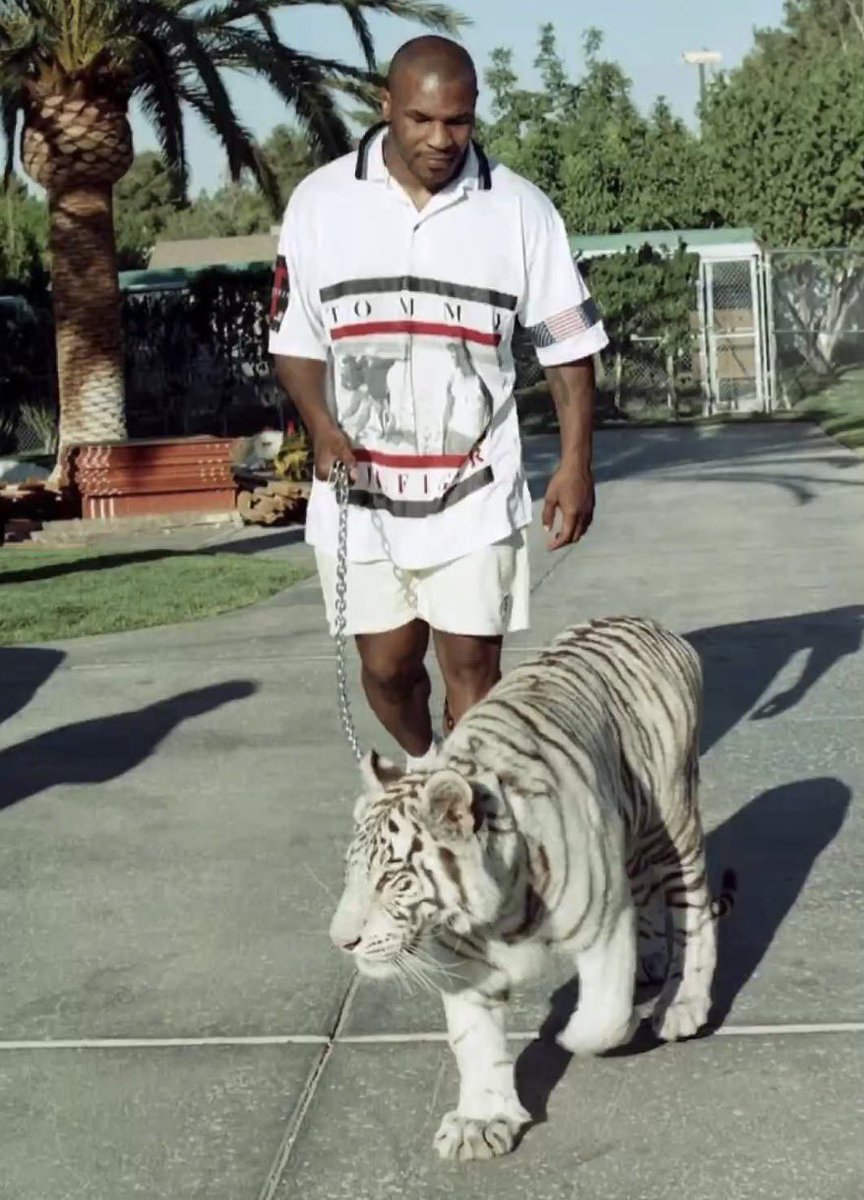 Jouhatsu_ai's tweet photo. Les tigres de Tyson

Il est libéré après 3 ans et dispose immédiatement de 200 millions de dollars de combats prévus.

Il dépense sans compter sur deux tigres de compagnie de la star de Tiger King, Joe Exotic.

Lorsque la voisine de Mike saute la clôture pour caresser les bêtes, elles lui arrachent le bras.

Et ils ne sont pas les seuls carnivores dans le camp de Tyson...