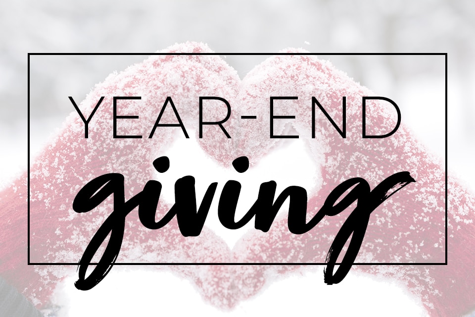 TheCarsonKingF1's tweet image. By making an end-of-year gift, you’ll be helping us continue our mission into the new year, reaching more people, and making a bigger difference. Every contribution, big or small, counts!
Donate today and help us create a brighter tomorrow!
carsonkingfoundation.org/donate