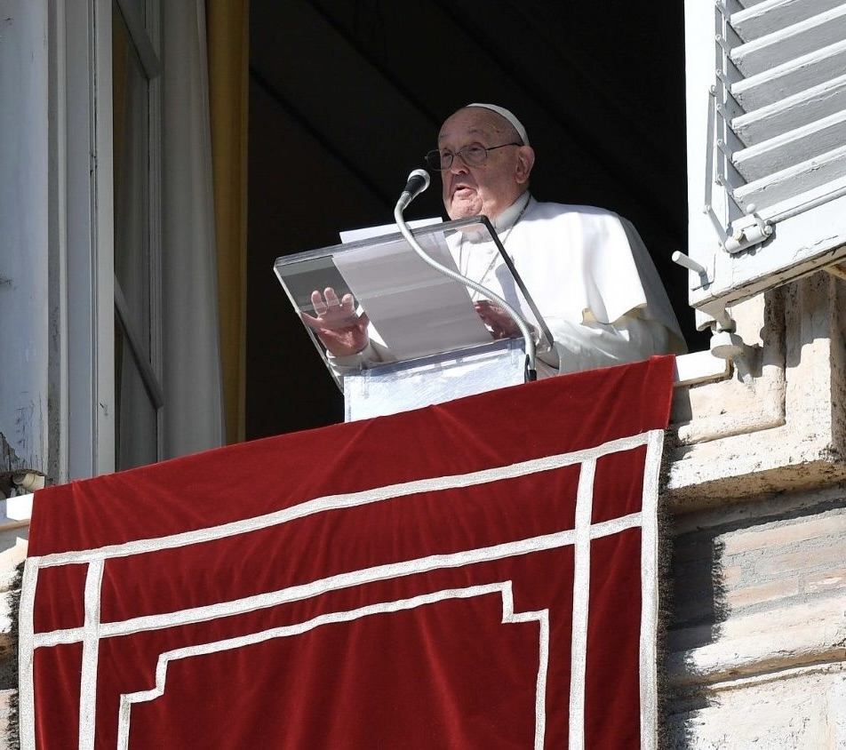 Alistair Dutton tweet media