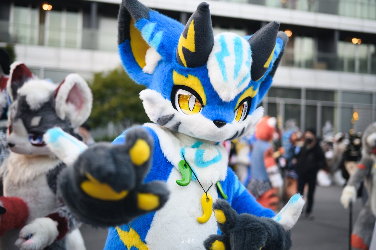 #FursuitFriday
2025年，我准备好迎接你了
📷: @白矮星