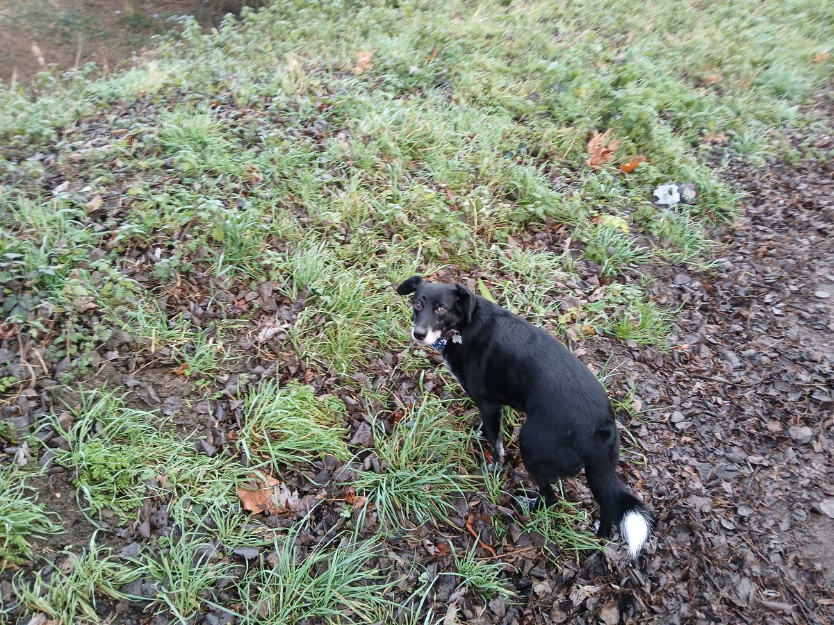 Slowly building things back up. First time I have broke 4 miles in over a month. Done in pace of 10:12 :)