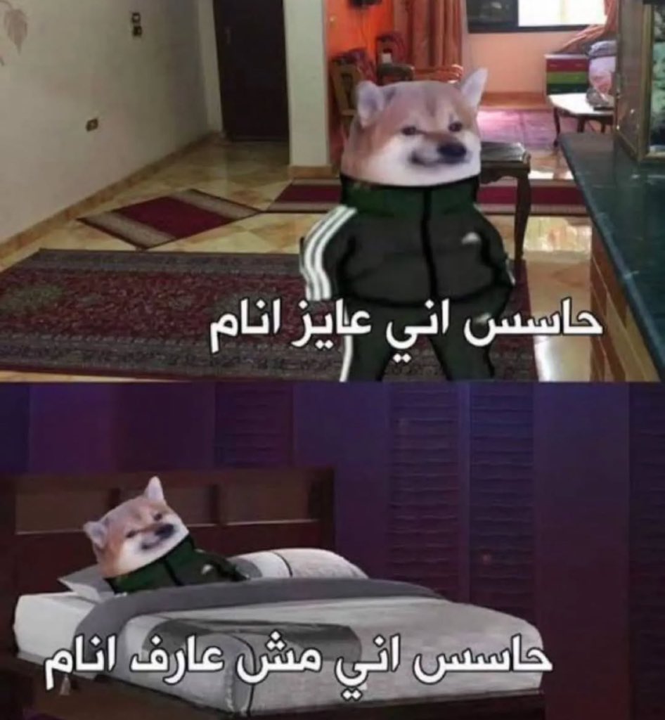 هل انت عبيط! |كود نايس ون Mo7 (@egyptianmemees) on Twitter photo 