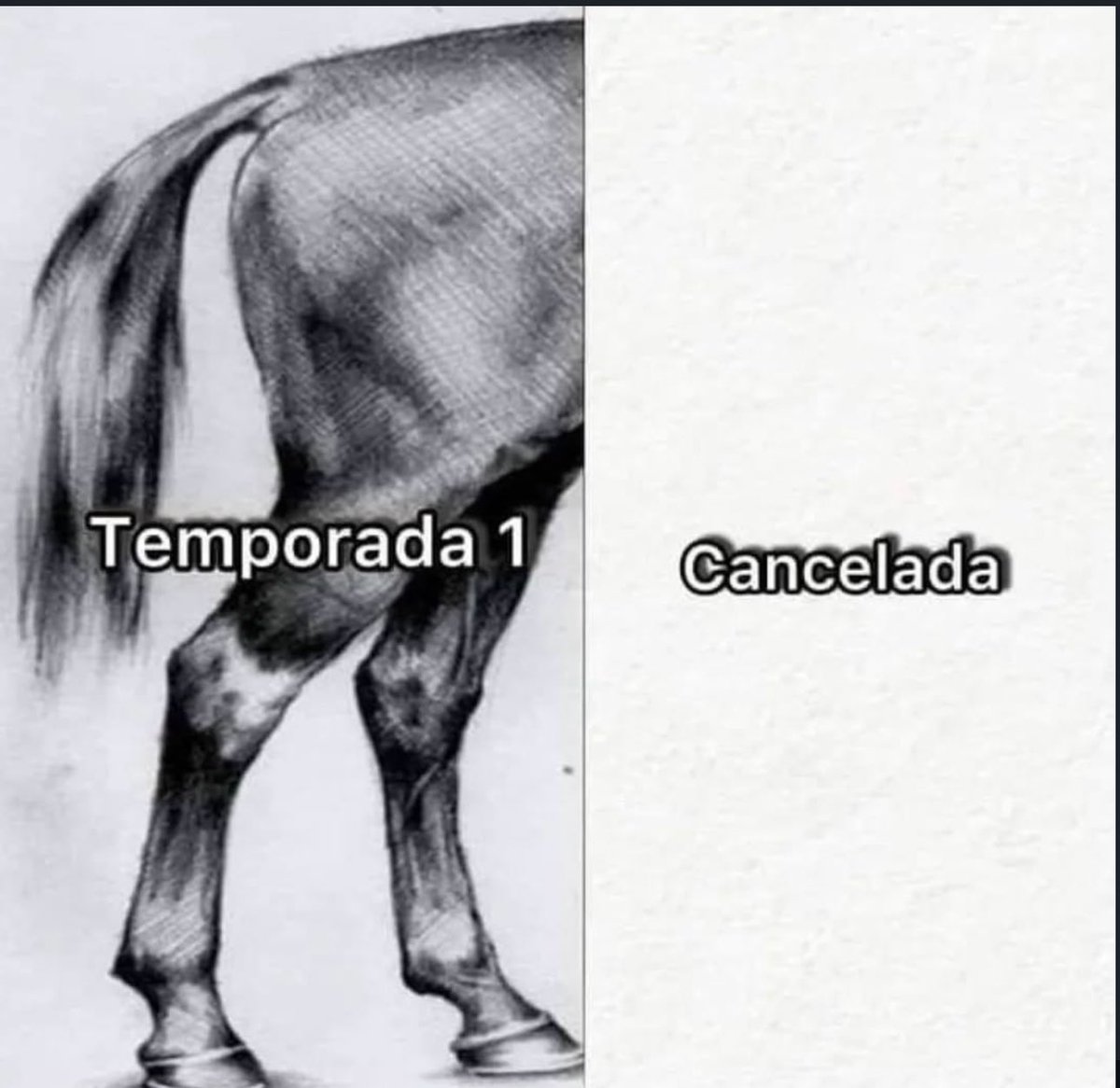 AnimeTrends tweet media