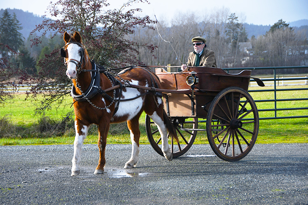 Merry Christmas and Happy New Year !