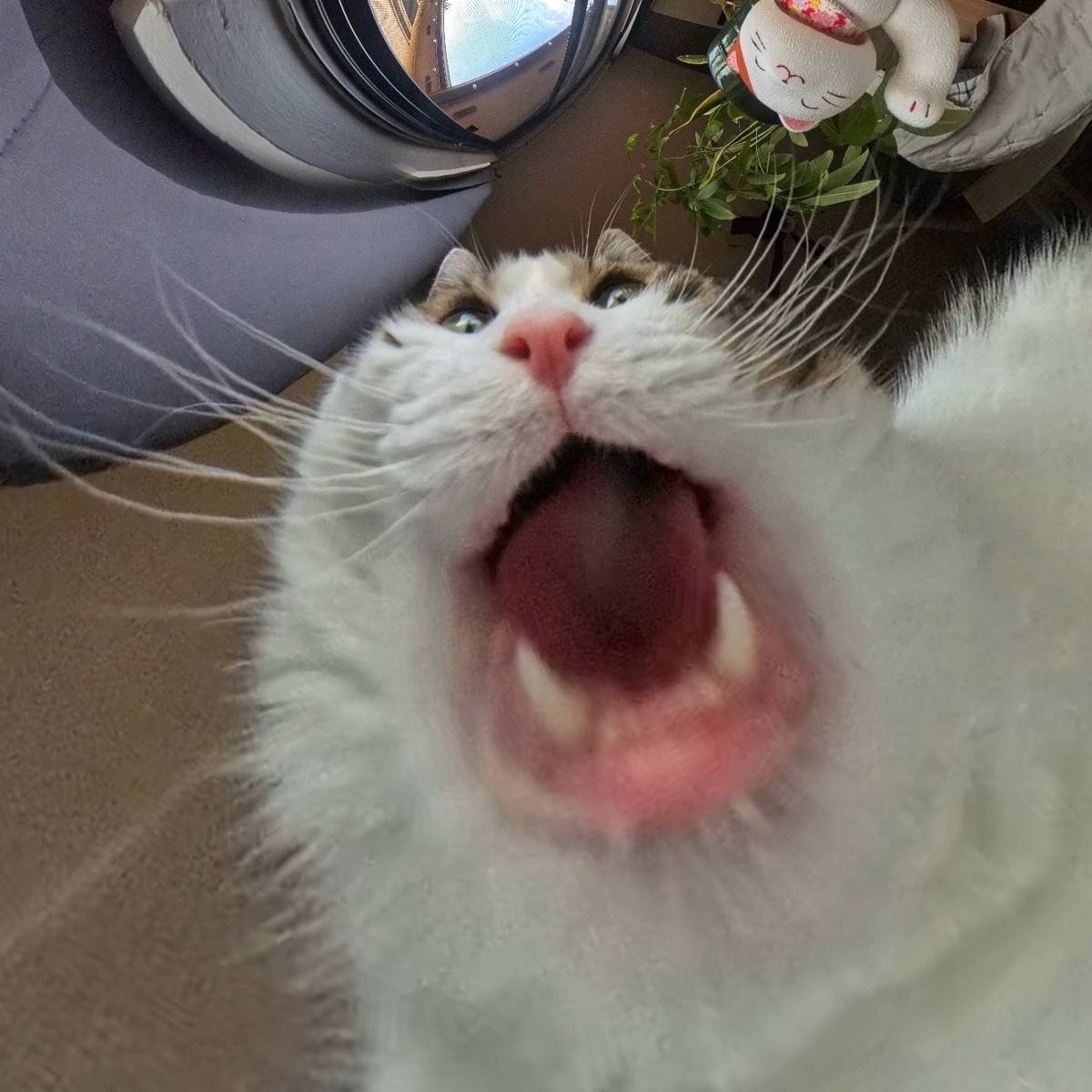 소페² (@sope_6120) on Twitter photo 