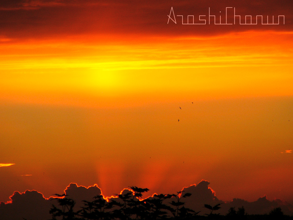 Happy Holiday season!!!