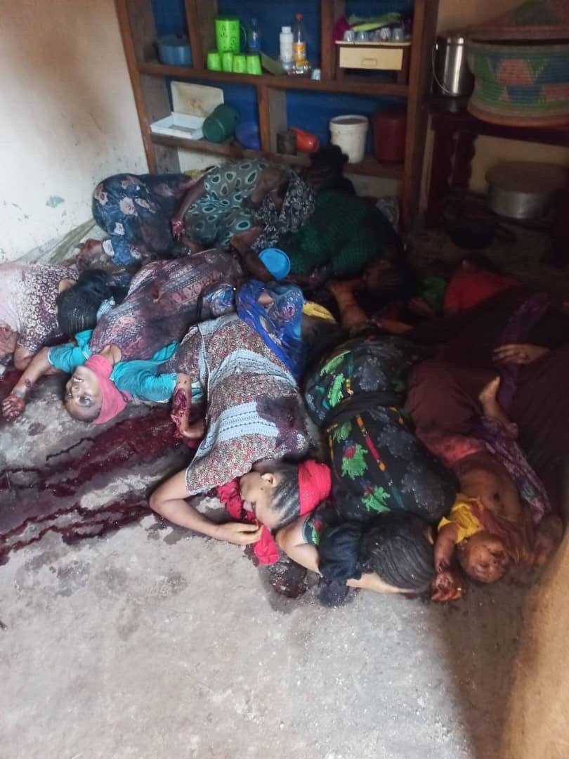 Your attempt to trivialize the suffering of Amhara civilians by framing their justified grievances as “contrived” is both deeply irresponsible and reflective of a deliberate agenda to distort the truth. The UN and numerous human rights organizations, including Amnesty