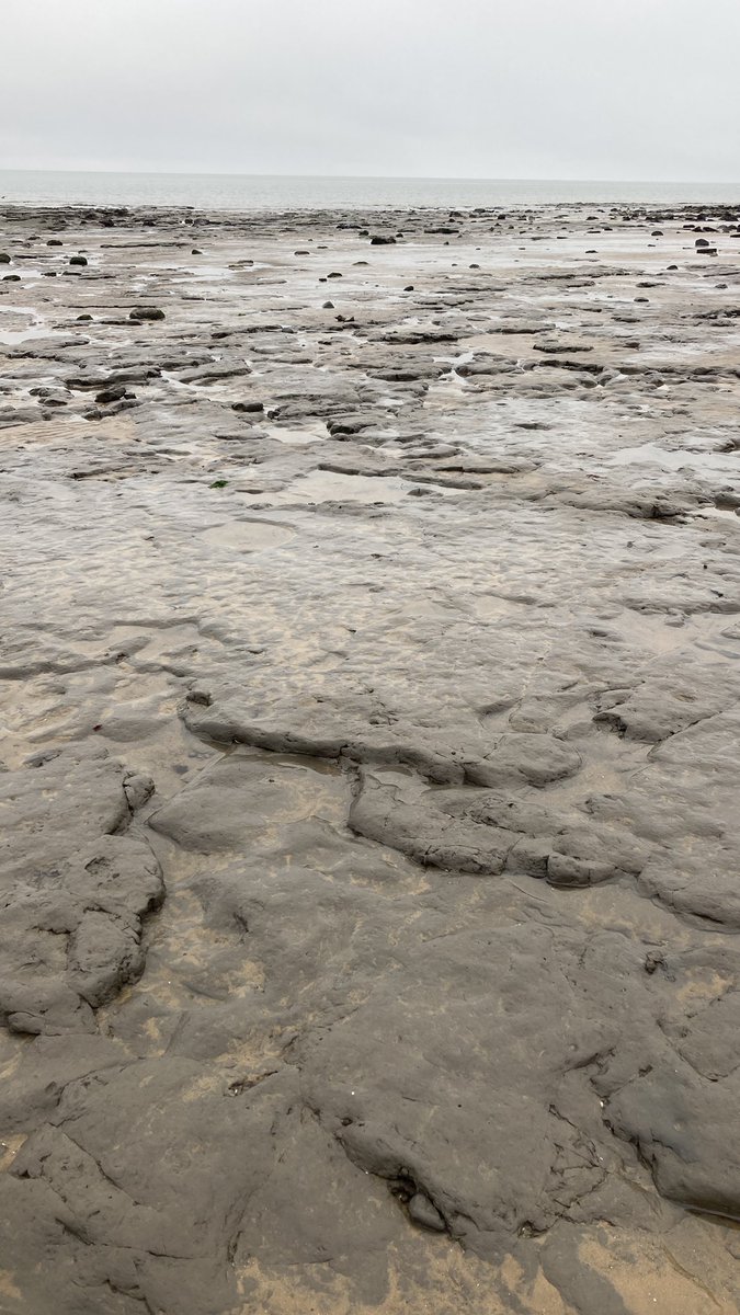 Rachel JC tweet media