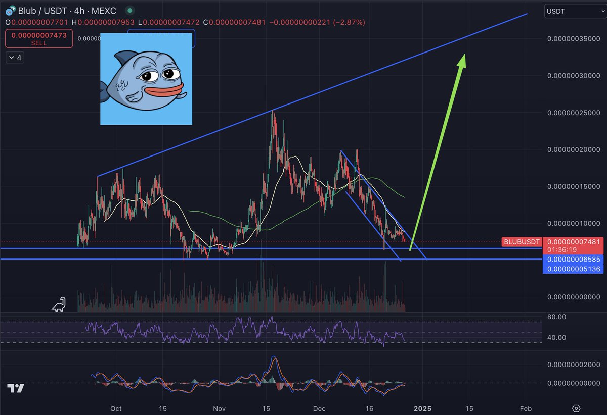 You can not imagine the future $BLUB will have in 2025 🔥 Not in straight line but... massive... 🚀 <a href="/blubsui/">BLUB</a> 

#BLUB #SUI #memecoin