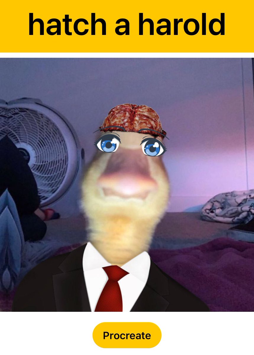 enjoyonx's tweet photo. Daily $harold

Qm! 🧠 @haroldtheduck_ https://t.co/QWTHo058Td