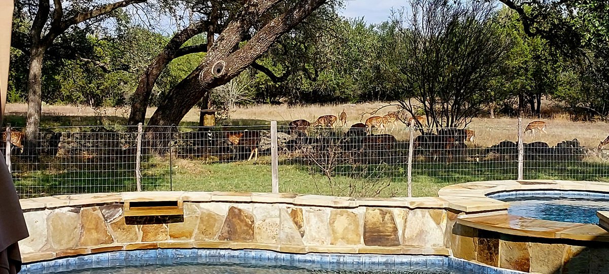 Ron Oglesby tweet media