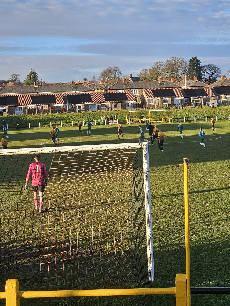 ground_hopper_hoppy🤜🤛 tweet media