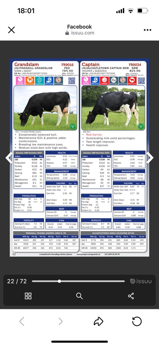 Olcastletown Herd🐄 tweet media