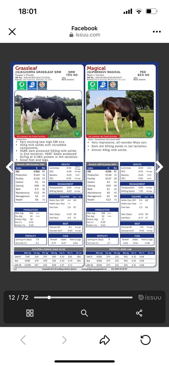 Olcastletown Herd🐄 tweet media