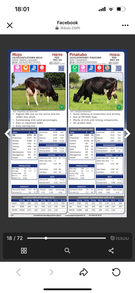 Olcastletown Herd🐄 tweet media