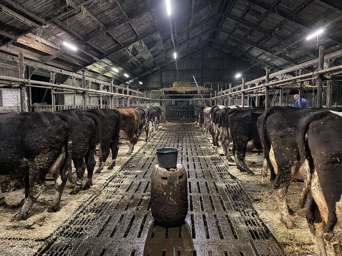 Annette den Hollander tweet media