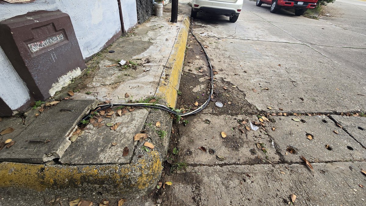 sementalv tweet media