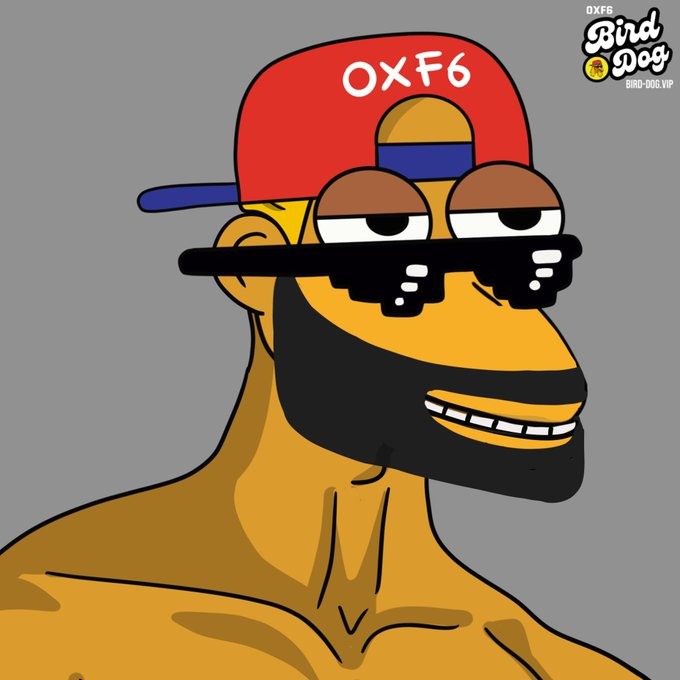 BirdDogGod's tweet photo. @MustStopMurad $GIGA 🤝$BIRDDOG

Join the BirdEvolution, let's make history with @Bird_DogERC 

#Pepe #Brett #Andy #LandWolf #BirdDog #FurieVerse 

0xF6Ce4BE313EaD51511215F1874c898239A331E37 https://t.co/ezeemwcGdN