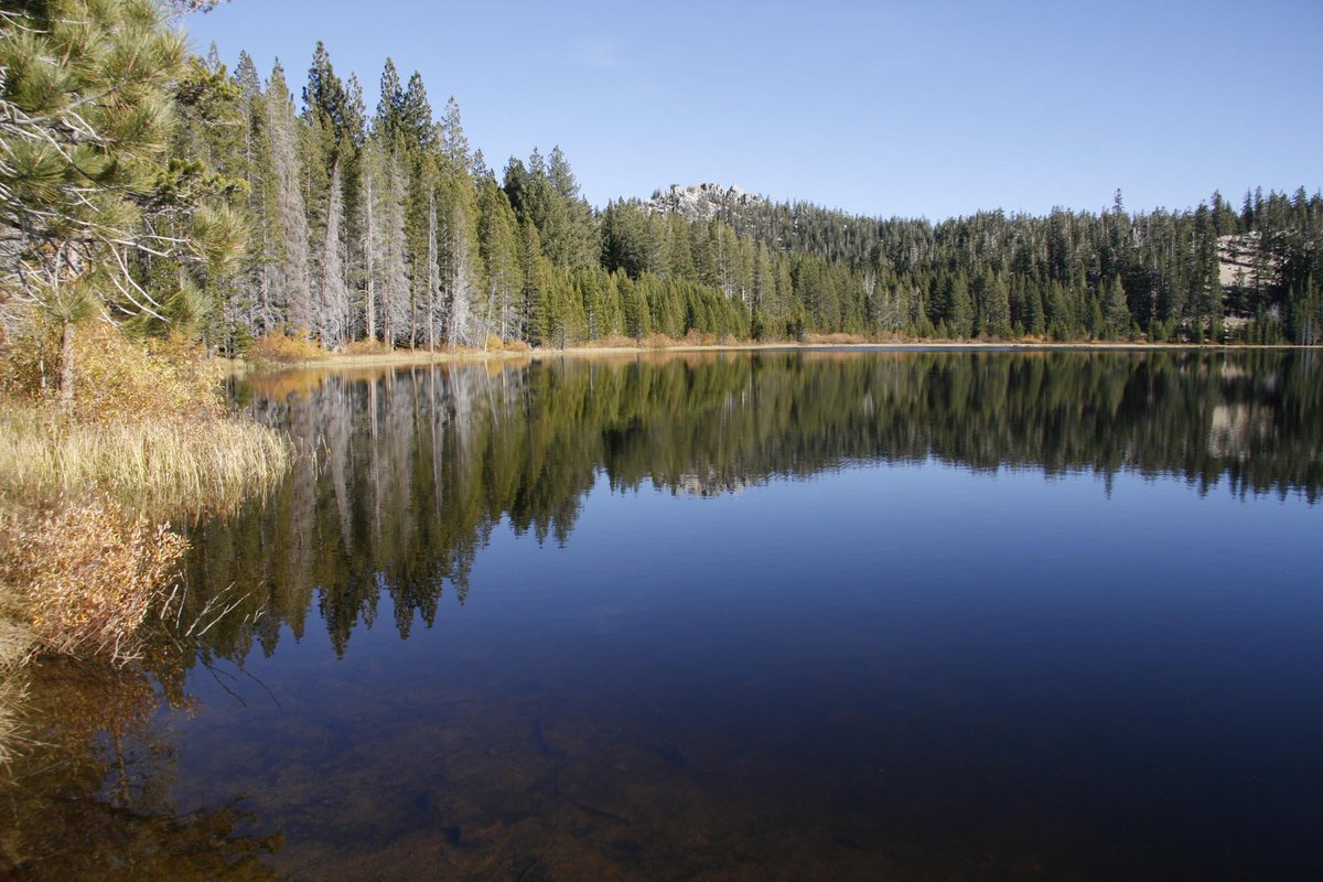 USAO_NV's tweet photo. #NVstateparks Nestled in the Lake Tahoe Basin, the Spooner Backcountry is surrounded by aspens & 12,000+ acres of forested, open space. The park features 50 miles of hiking, equestrian & mountain biking trails. Learn more ➡️ https://t.co/QDddaLgHTm
Nevada is #WhereWeWork https://t.co/iS8MGkxM3s