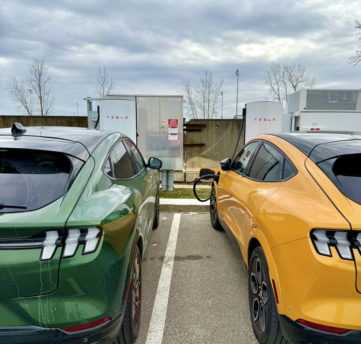 Electric Jake⚡️ tweet media